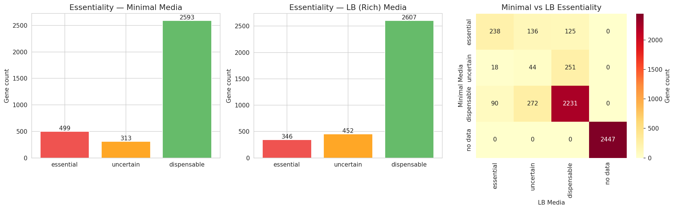 Essentiality overview