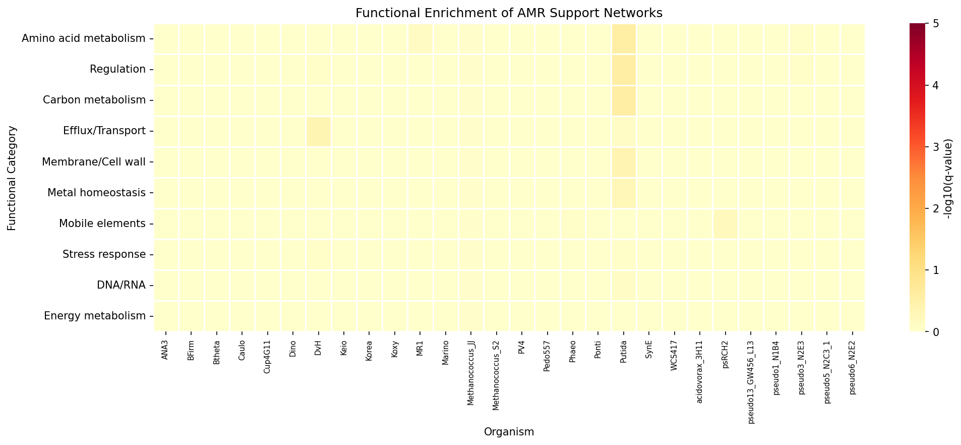 Support Network Enrichment