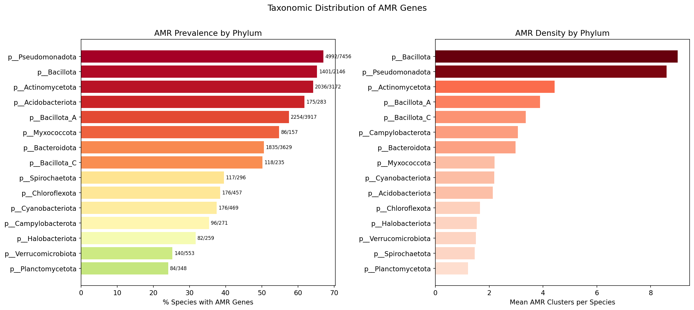 Amr Phylum Distribution