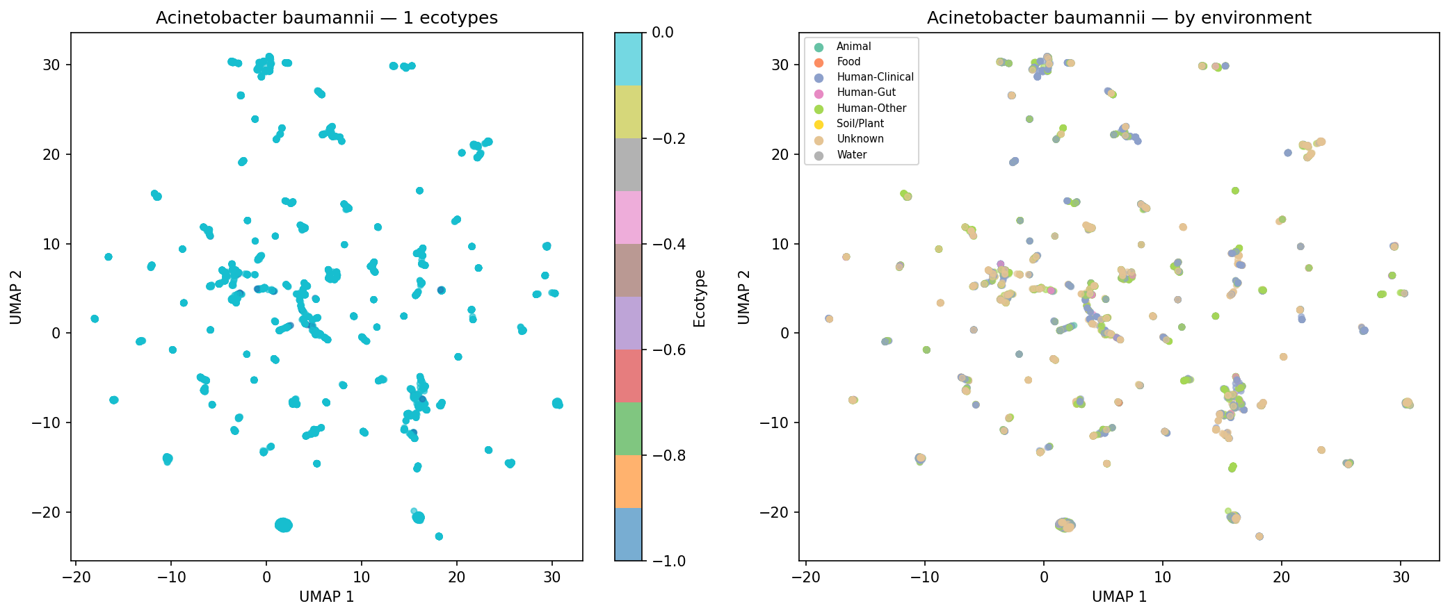 Nb05 Acinetobacter Baumannii Ecotypes
