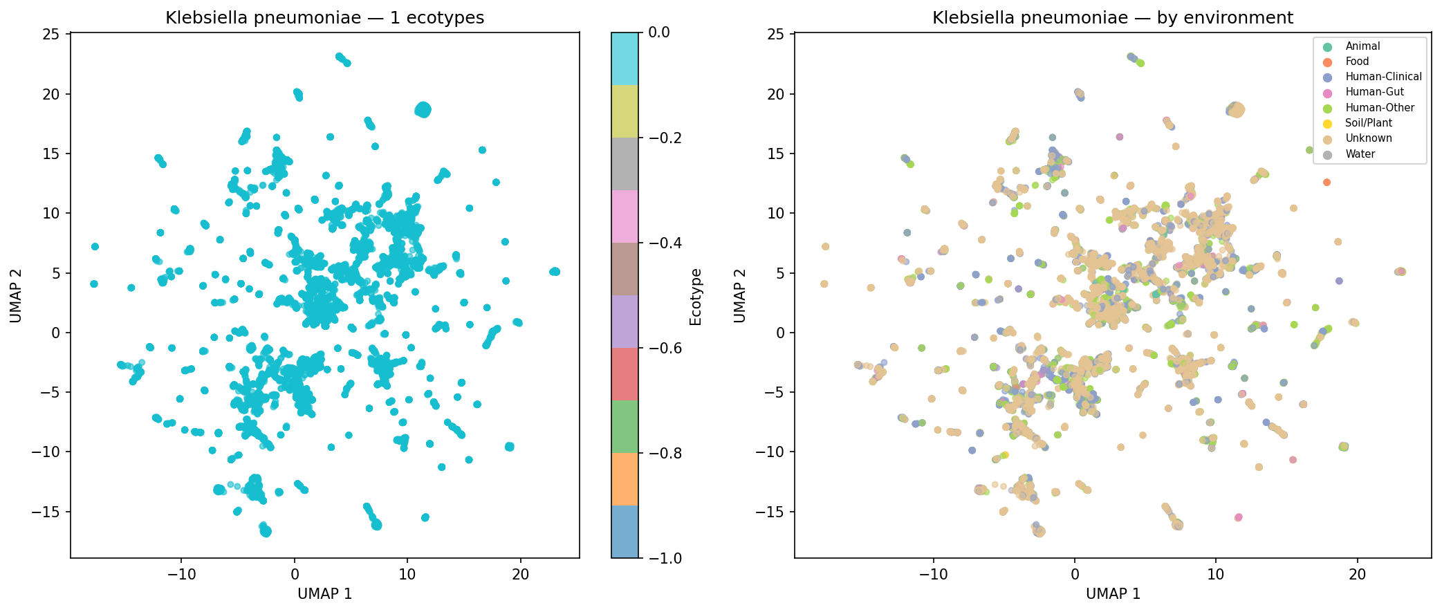 Nb05 Klebsiella Pneumoniae Ecotypes