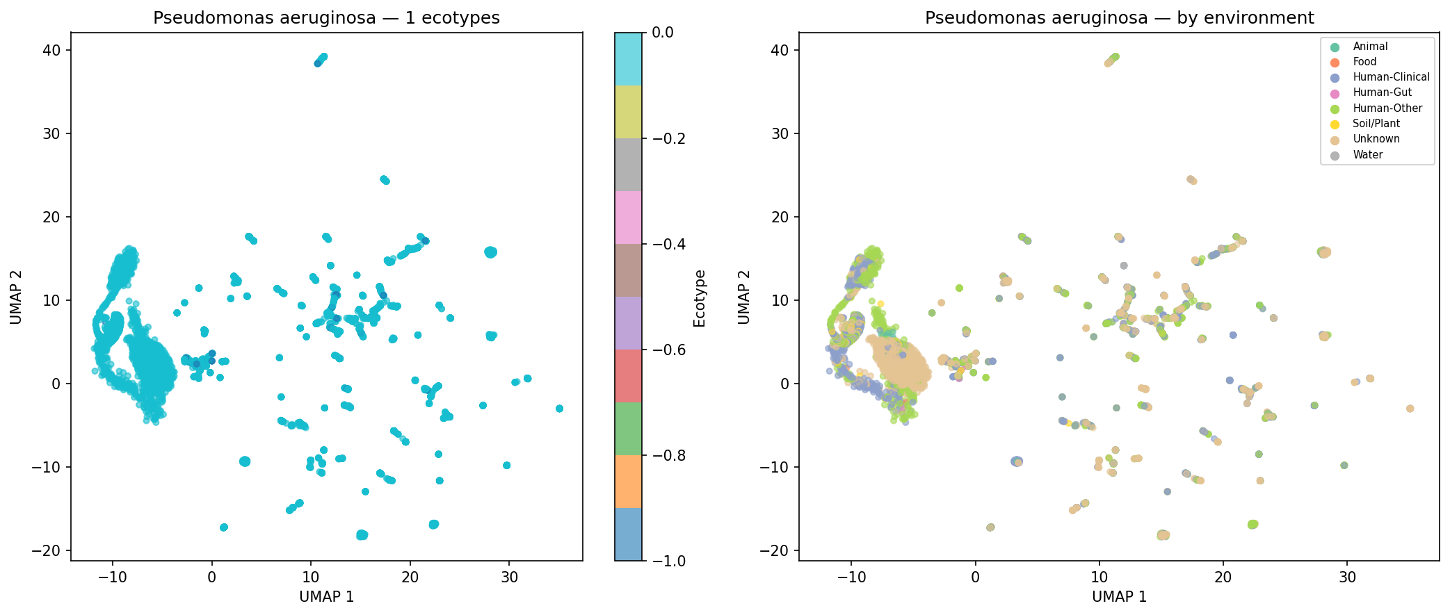 Nb05 Pseudomonas Aeruginosa Ecotypes
