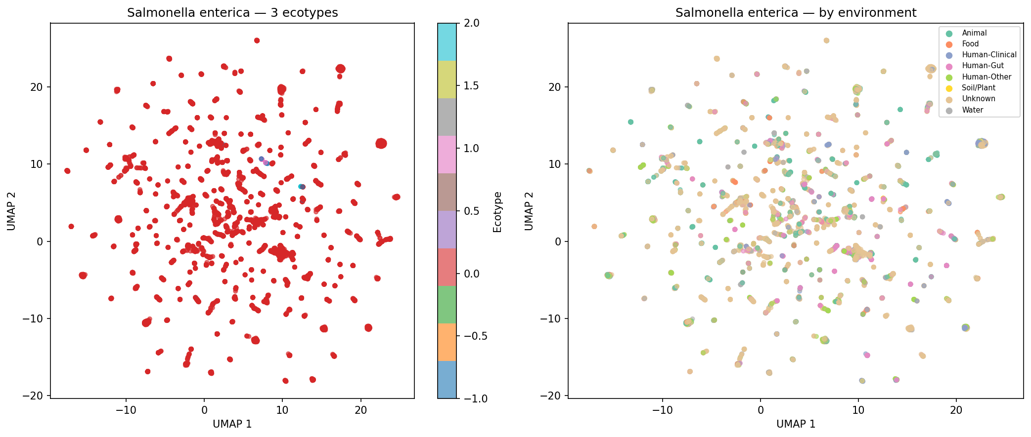 Nb05 Salmonella Enterica Ecotypes