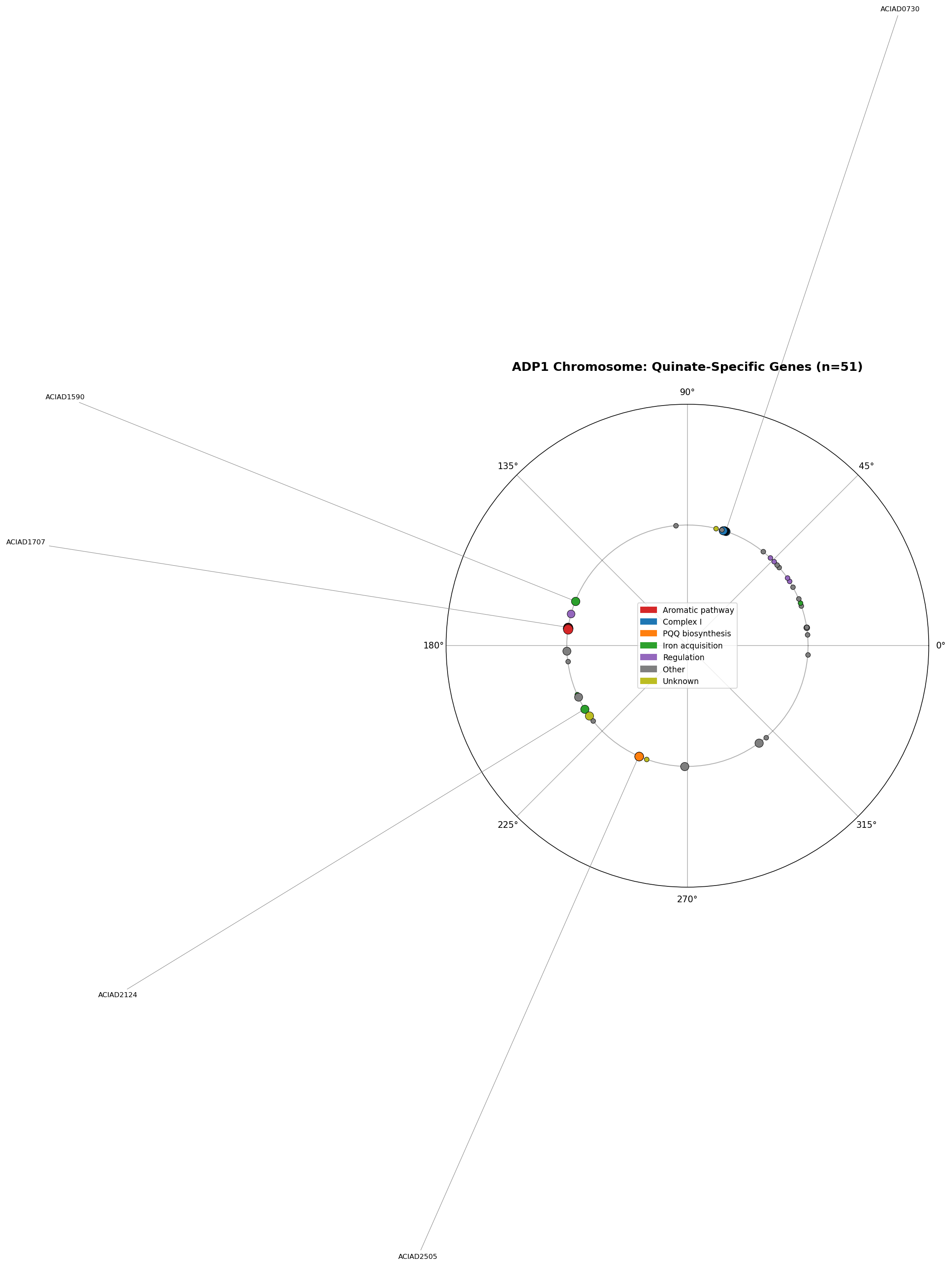 Chromosome map of quinate-specific genes