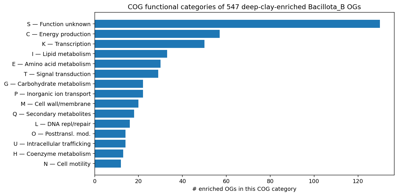 H1 Functional Categories