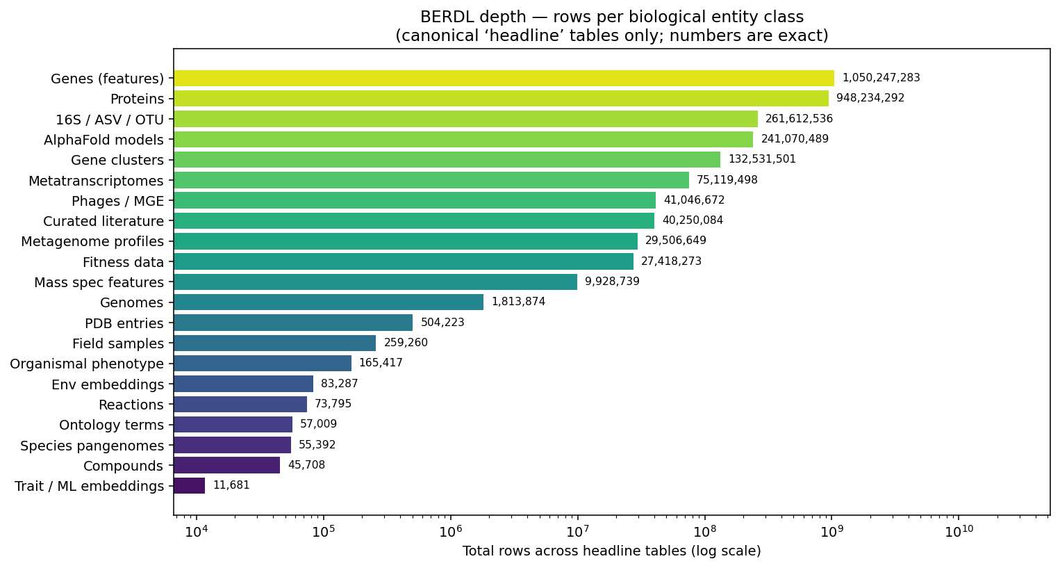 Per-entity-class data volume (log scale)