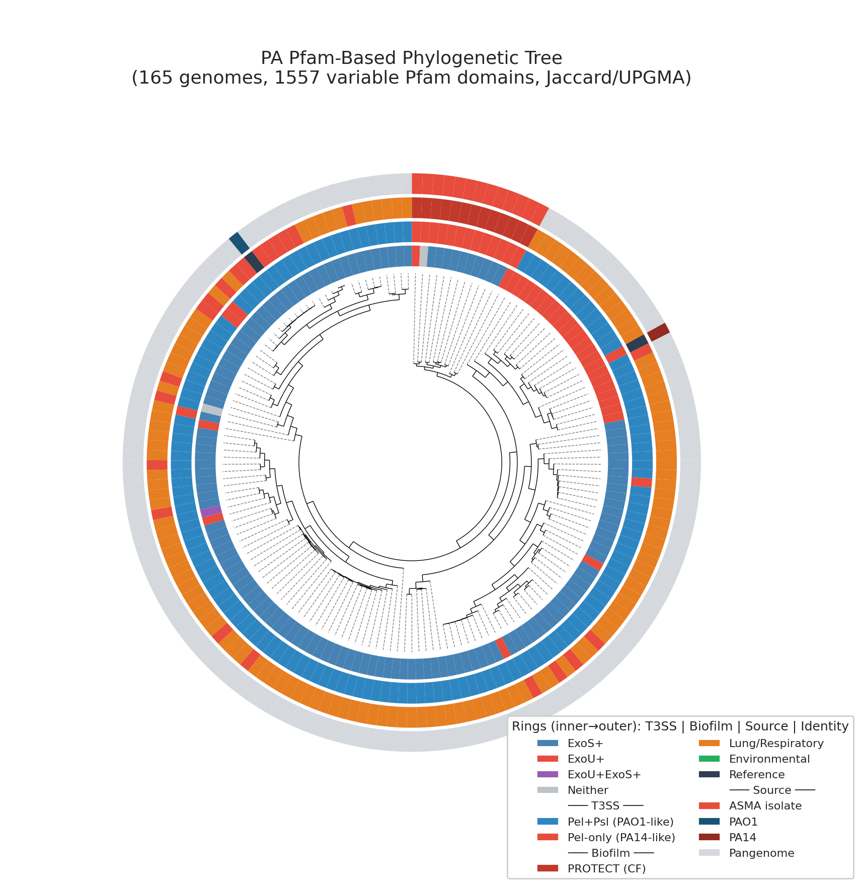14 Pa Phylogenetic Tree