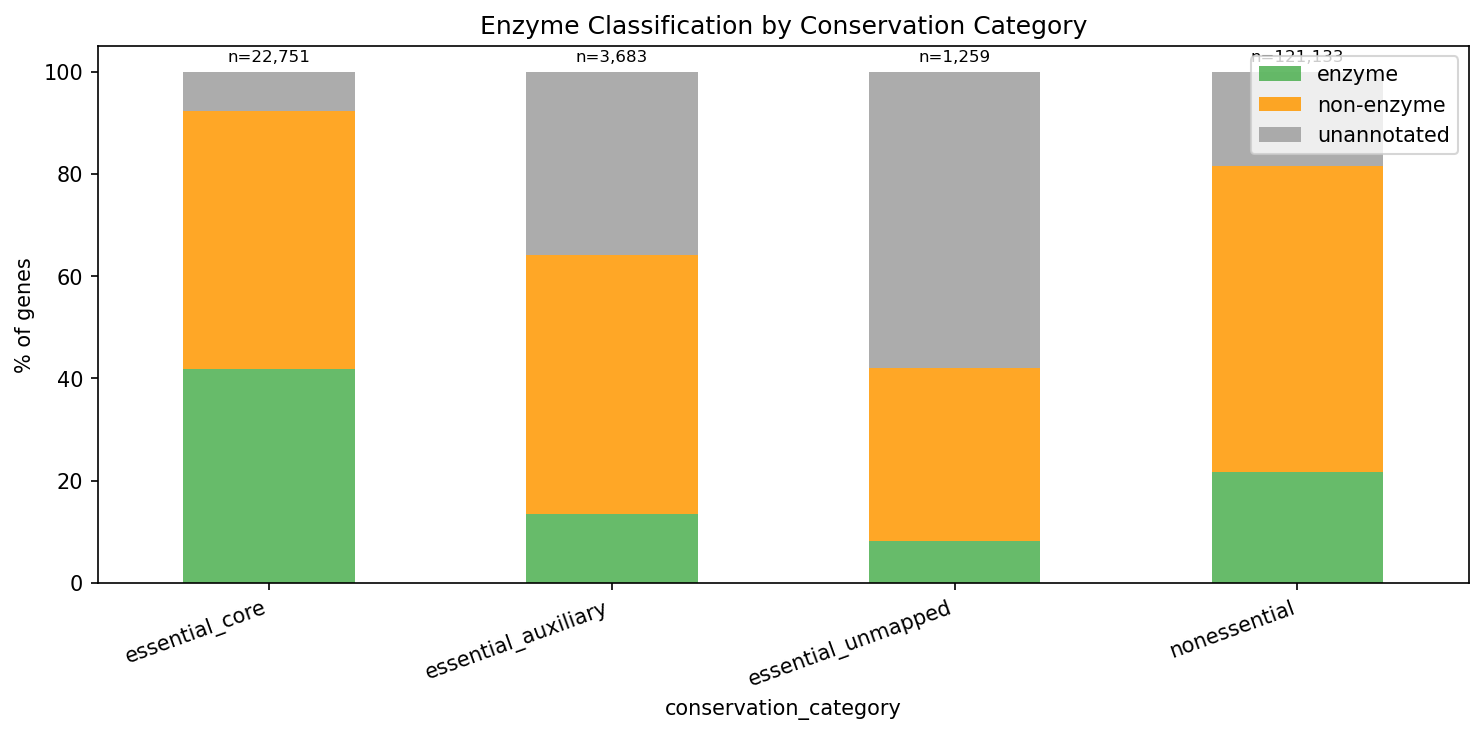 Enzyme Classification Breakdown
