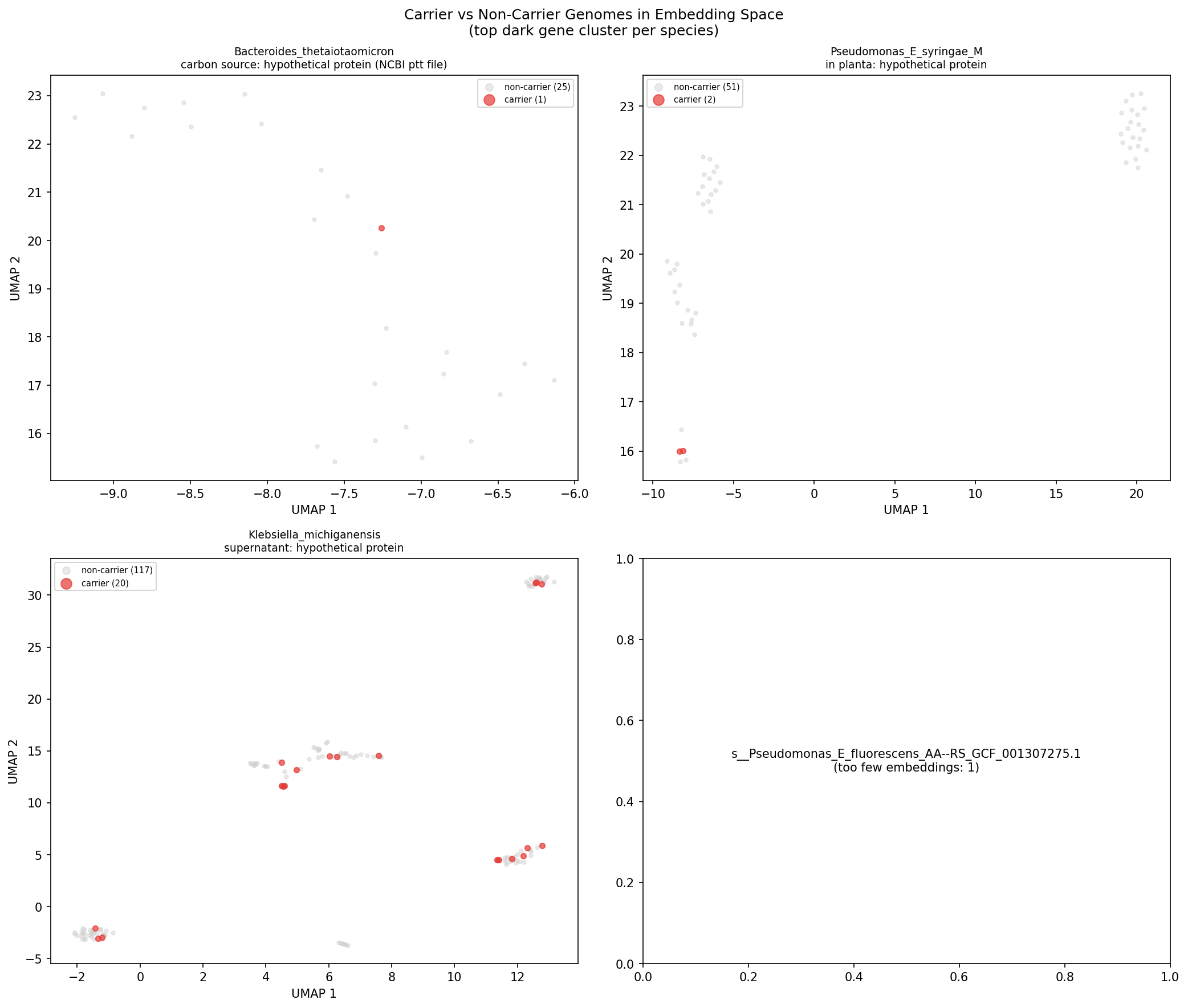 AlphaEarth embedding UMAP
