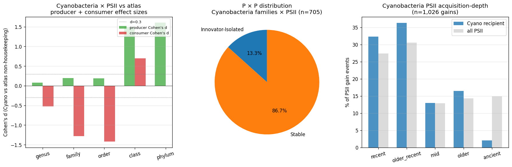NB16 Cyanobacteria PSII test