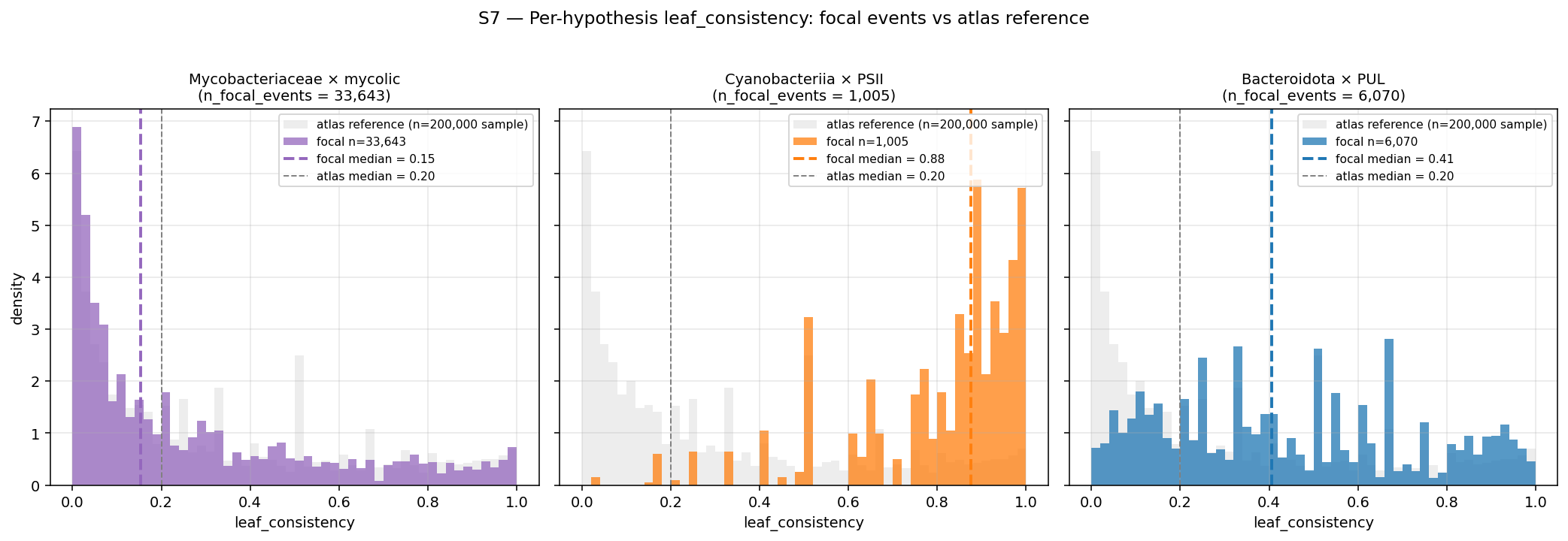 S7 — Per-hypothesis leaf_consistency distribution