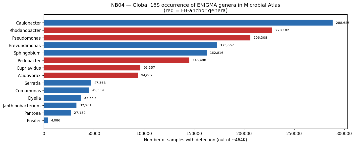 Nb04 Global Genus Occurrence