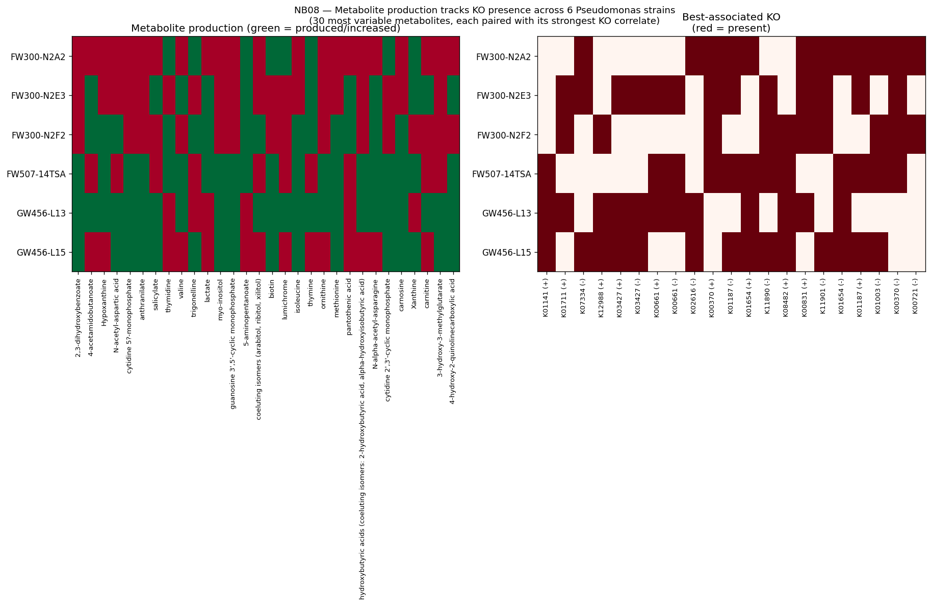 Nb08 Production Ko Heatmap