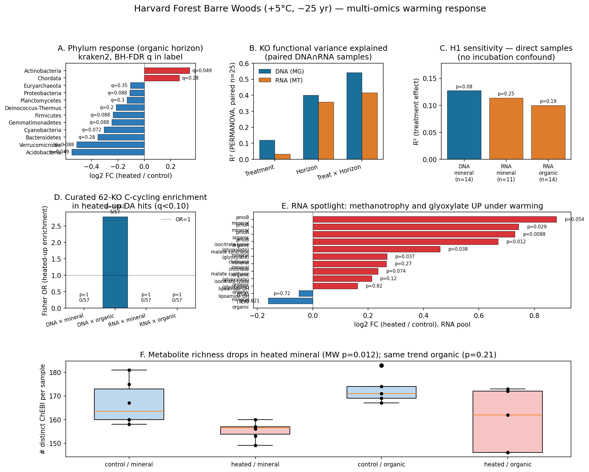 Spotlight on pmoA/pmoB and glyoxylate cycle in RNA pool
