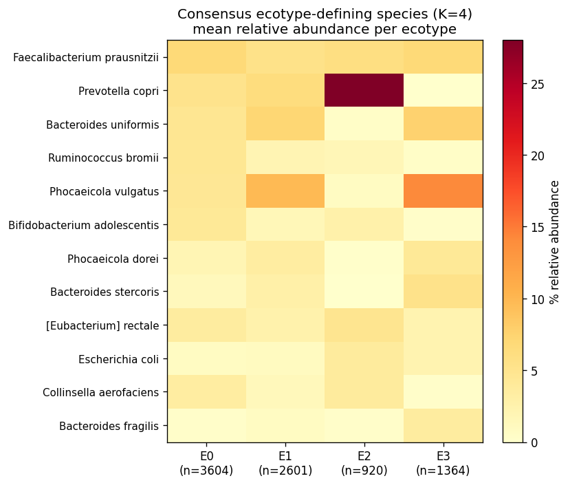 Ecotype-defining species (mean abundance per ecotype)