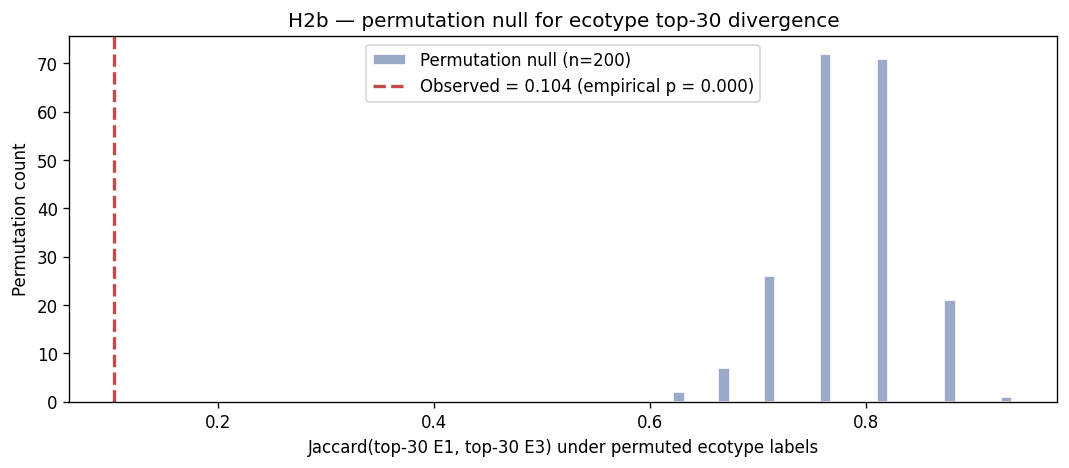 Permutation null for E1↔E3 Jaccard divergence (NB04b §4)
