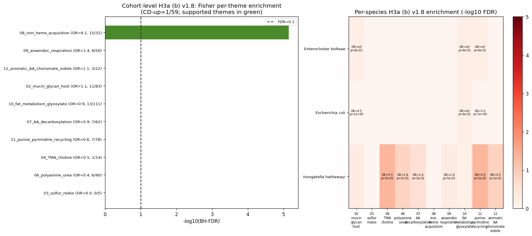 NB07 v1.8 class-based H3a (b) — cohort enrichment bar (iron/heme dominant) + per-species heatmap
