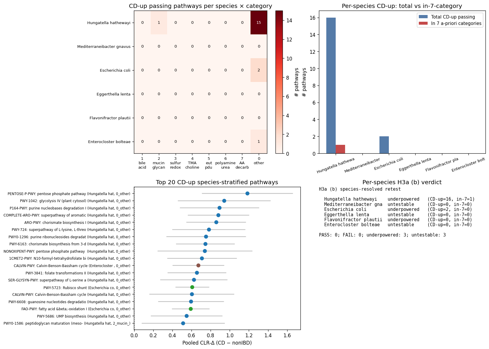 NB07b stratified-pathway H3a (b) re-test — per-species × category CD-up heatmap, total-vs-in-7-category bars, top species-stratified pathways forest plot, per-species verdict panel
