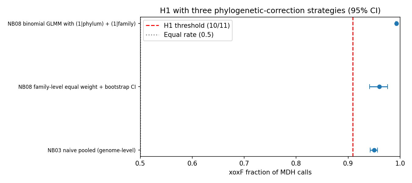 Phylogenetic-correction strategies — 95% CI comparison