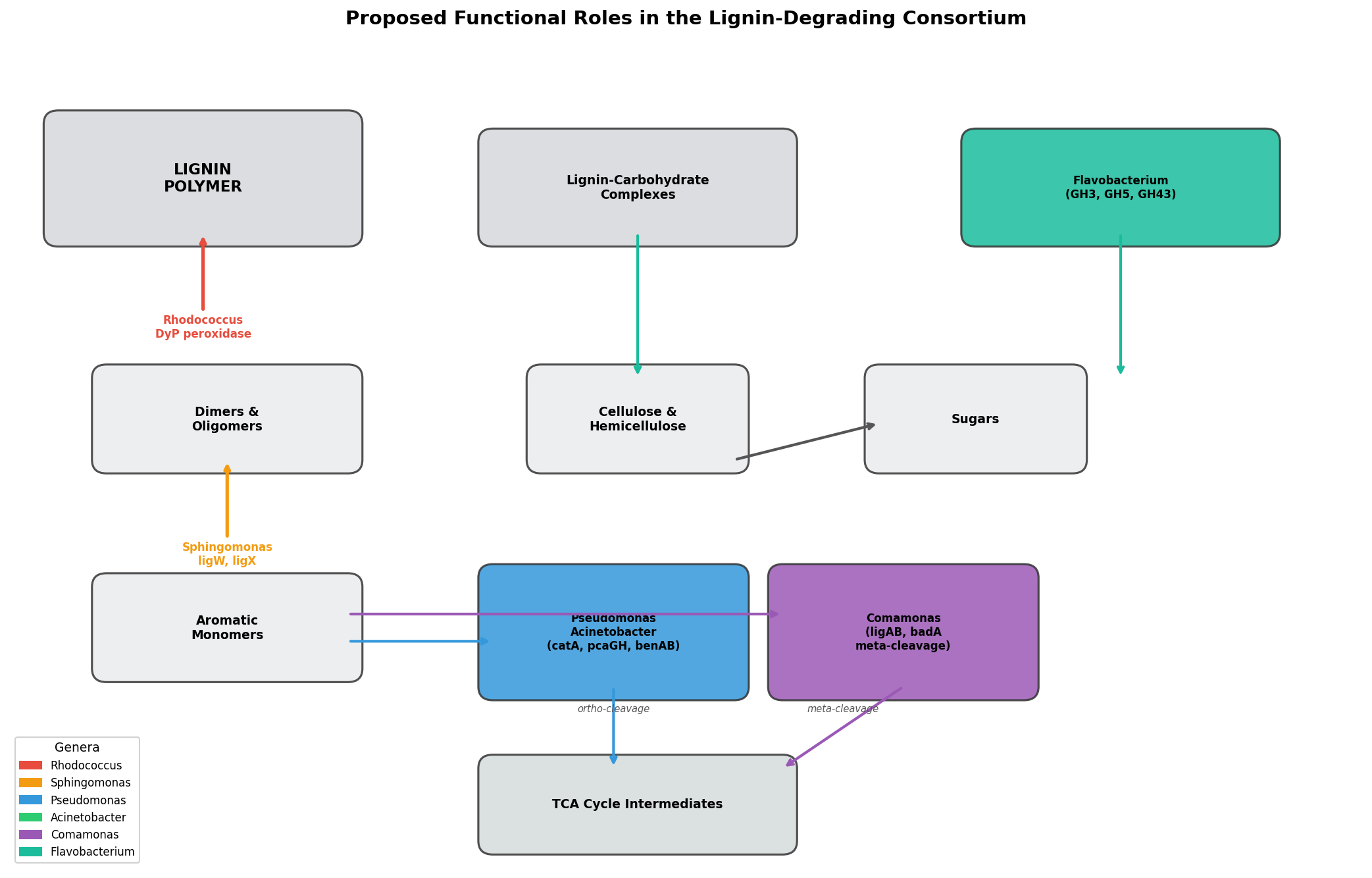Consortium Functional Model