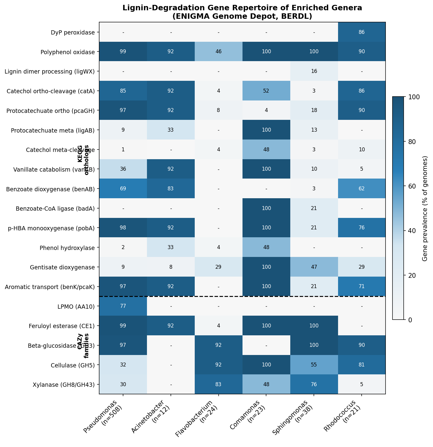 Metabolic Capability Heatmap