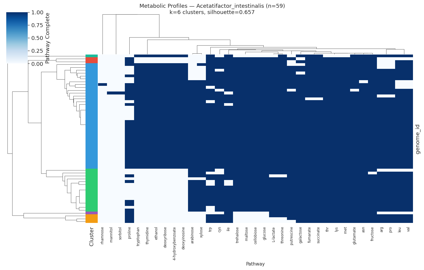 Nb05 Heatmap Acetatifactor Intestinalis