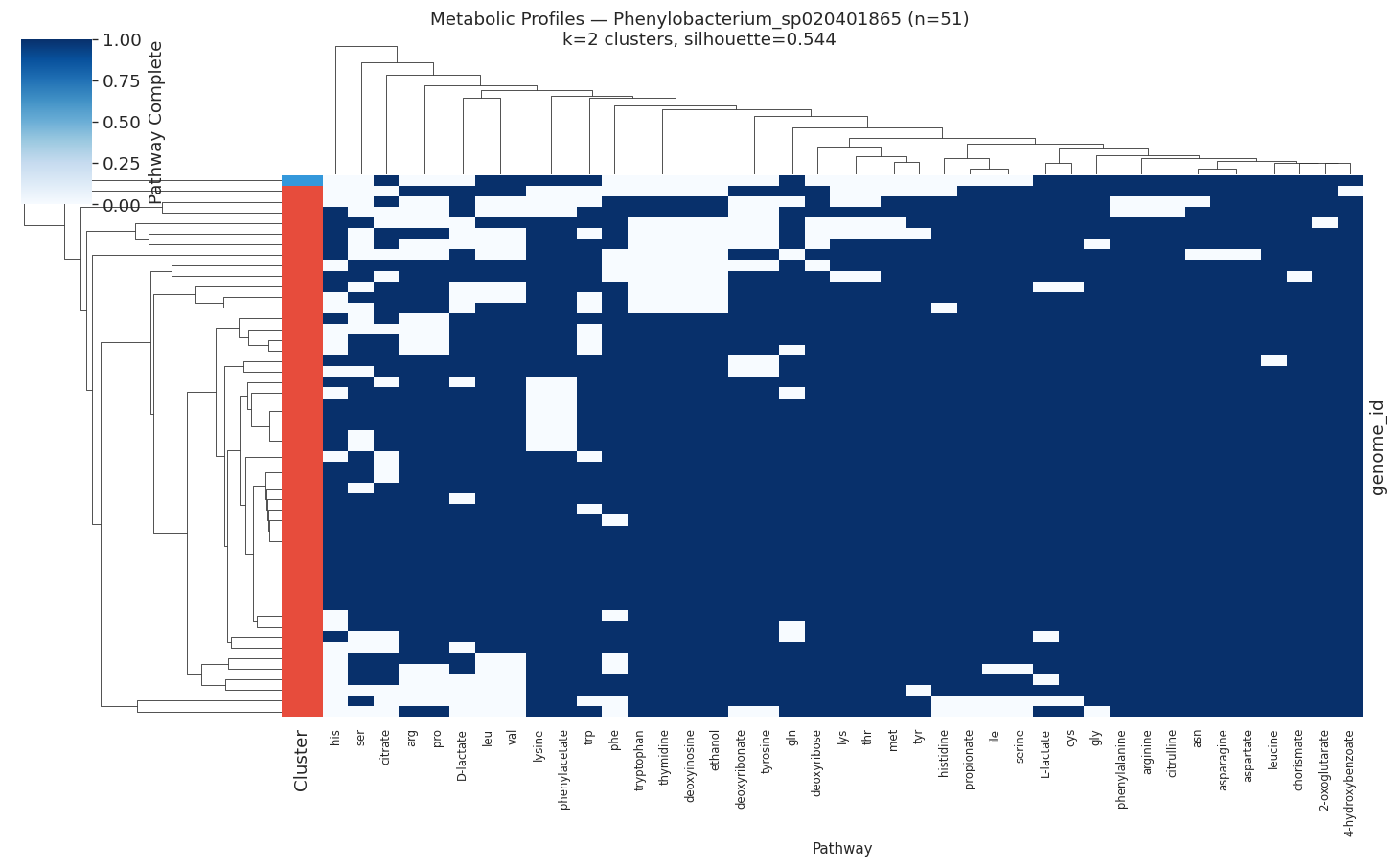Nb05 Heatmap Phenylobacterium Sp020401865