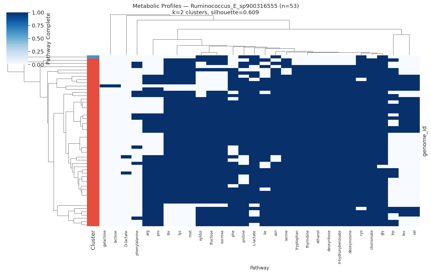 Nb05 Heatmap Ruminococcus E Sp900316555