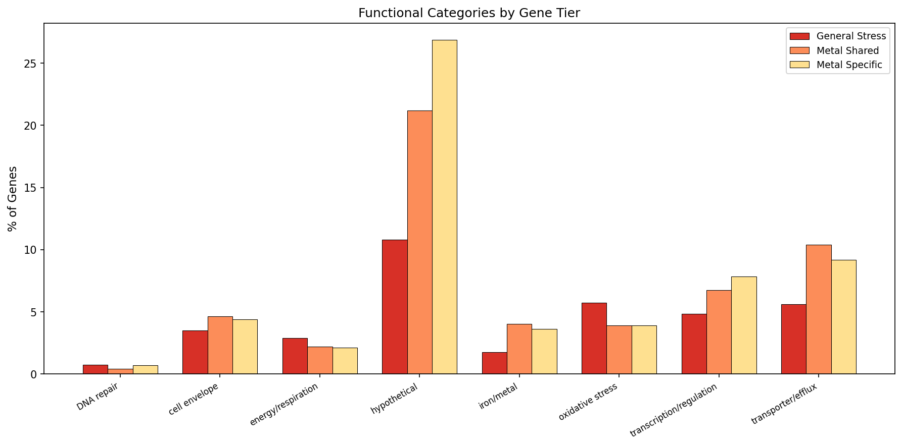 Functional enrichment by tier