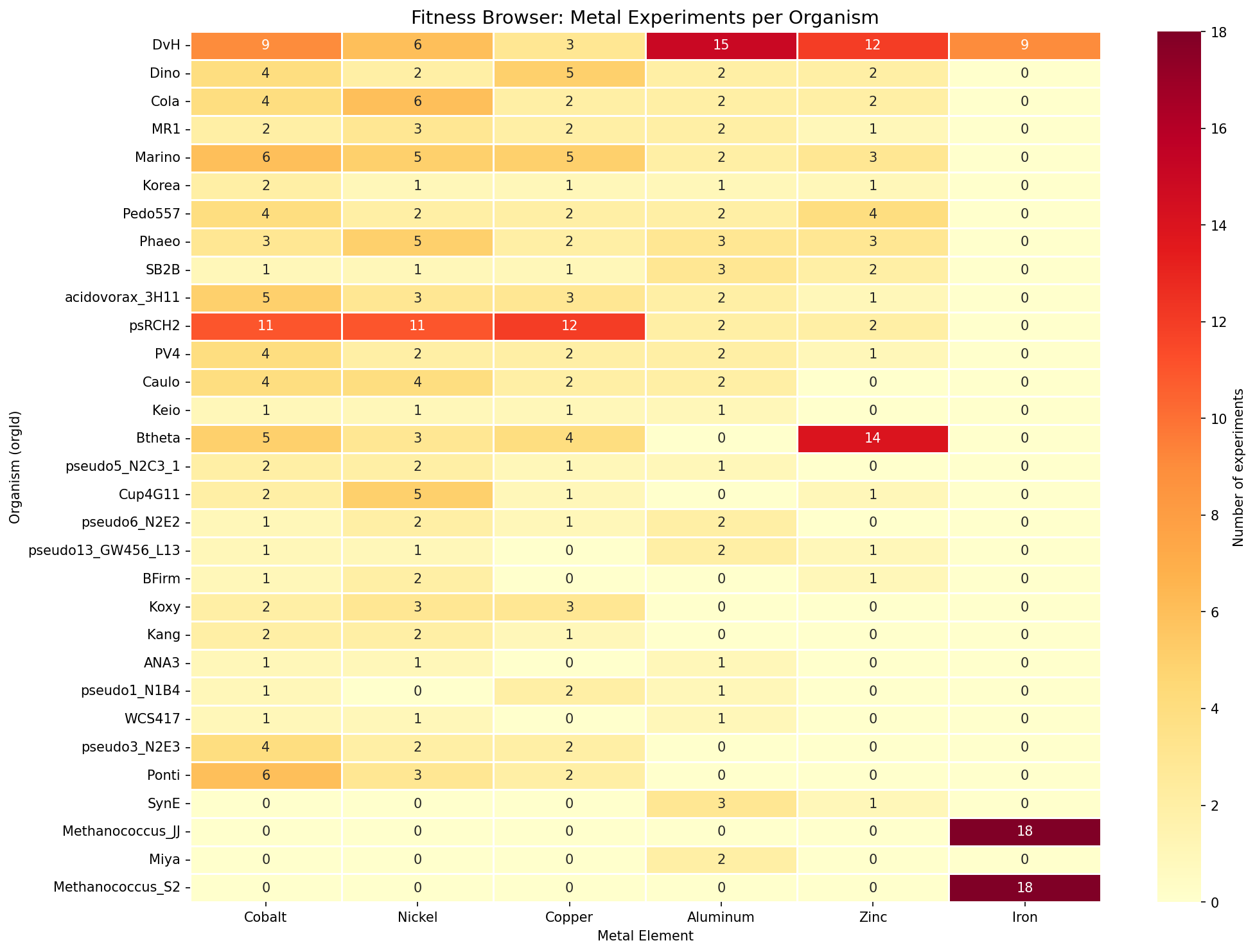 Organism x metal experiment matrix