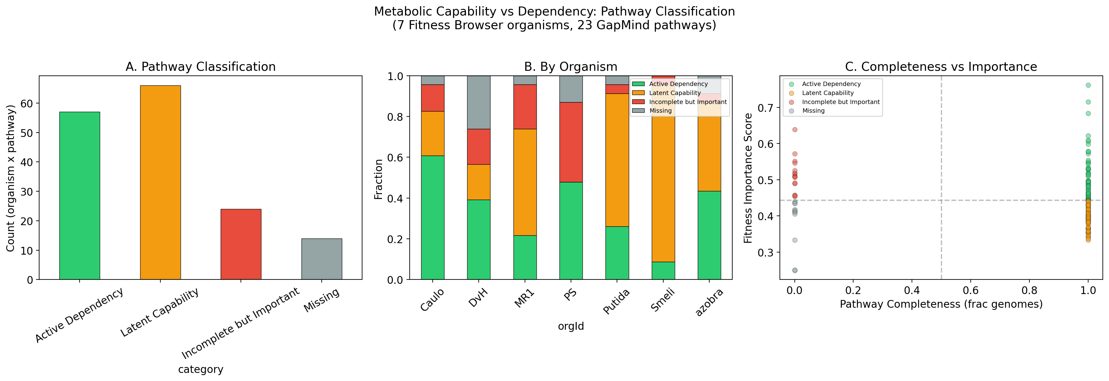 Four-category overview