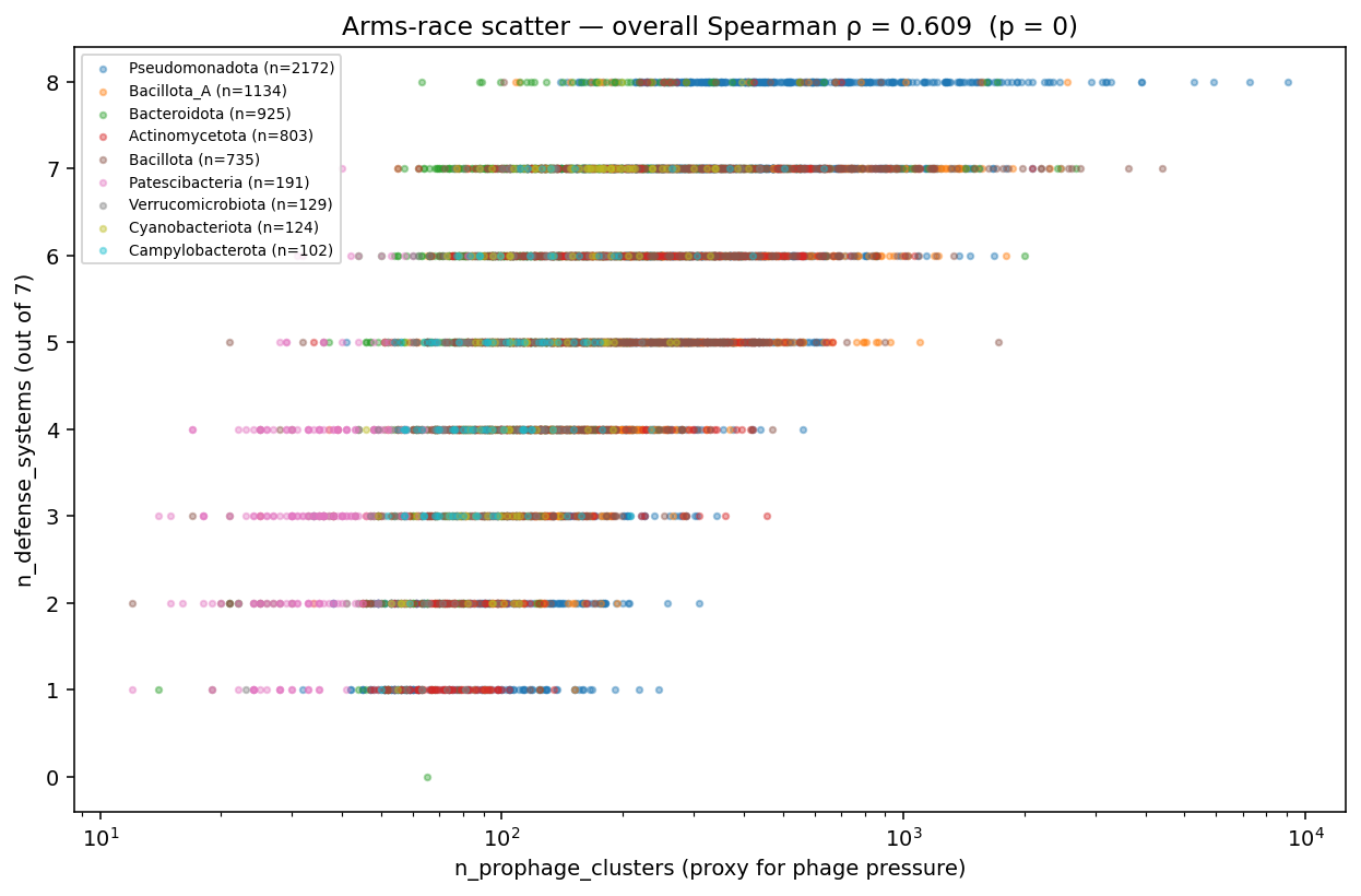 Arms-race scatter — defense count vs prophage cluster burden by phylum