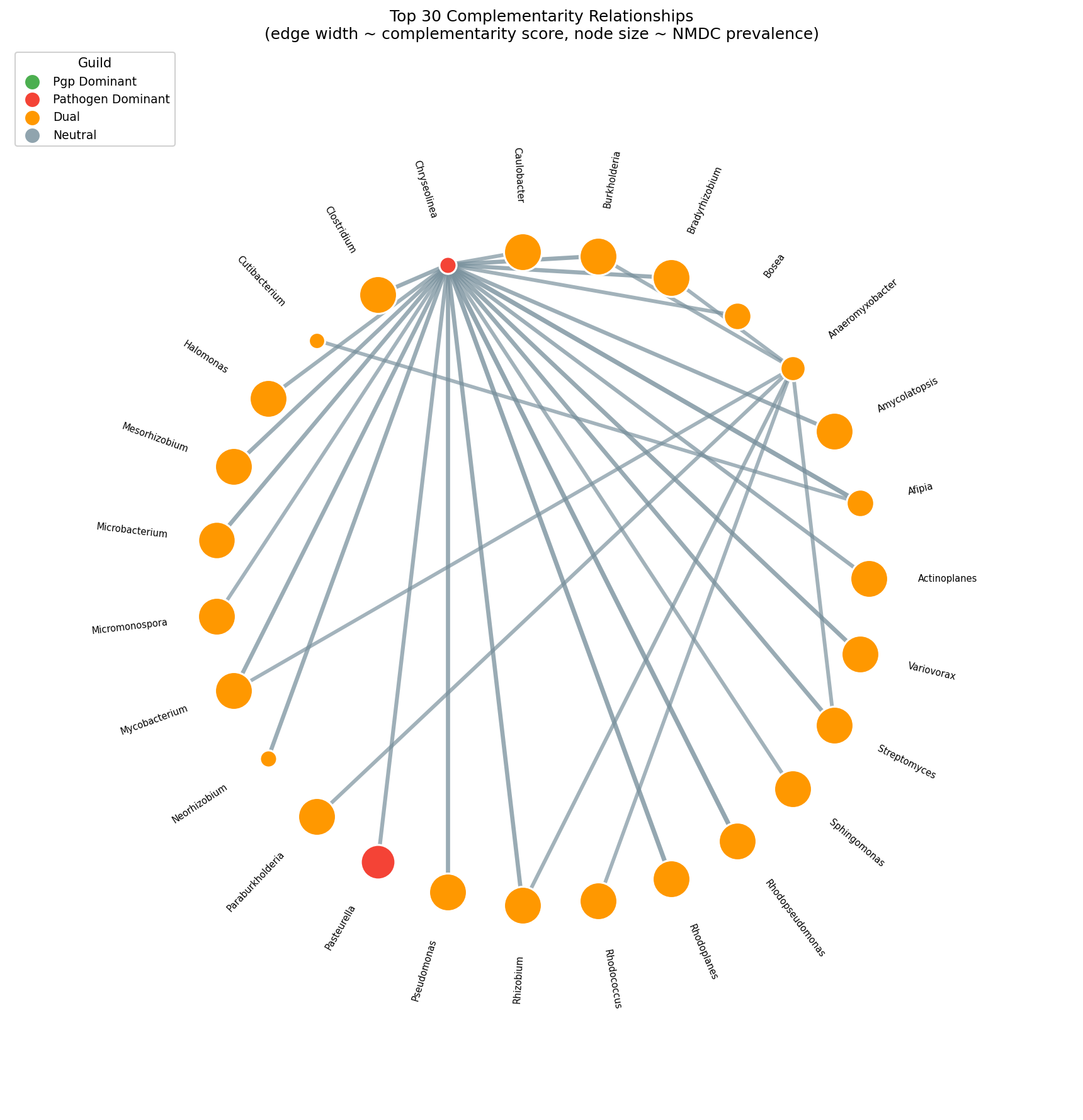 Guild interaction network