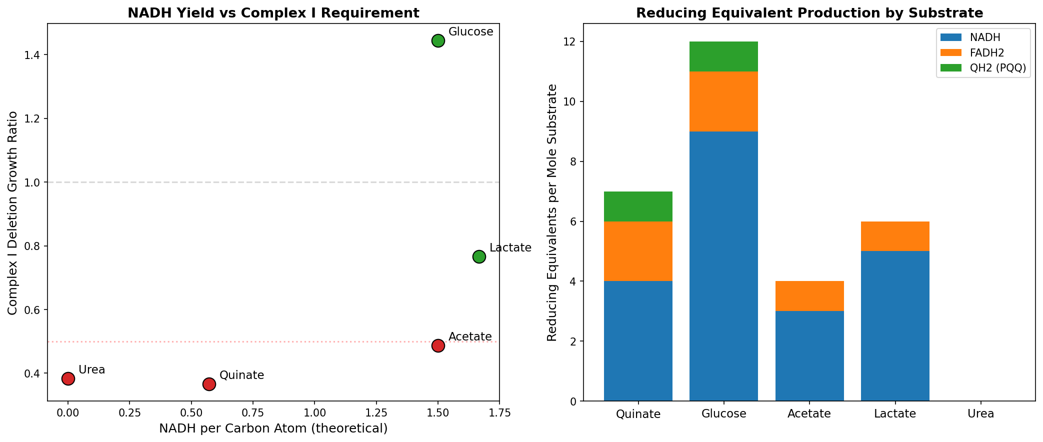 NADH stoichiometry and reducing equivalent production